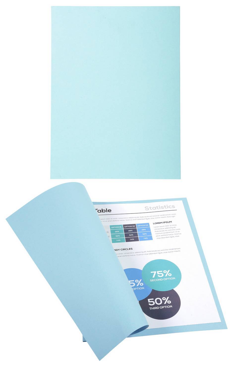 Chemises dossier Standard Forever 170g 24x32cm 100% recyclé paquet de 100 bleu clair