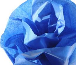 Papier de soie bleu 20g rouleau 500mmx5m