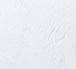 Plats de couverture LeatherGrain 250 g A5 grain cuir Blanc par 100