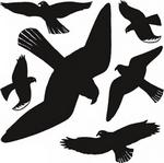 Oiseaux de vitres film transparent 30x30cm noir 1 feuille