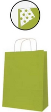 Sac cadeau papier kraft 100g L250xP110xH310mm vert par 50