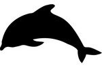 Ardoise murale silhouette dauphin sans cadre 30x40cm noir