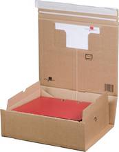 Carton d expédition Pack Box A4+ pour 2 classeurs A4 L385xP313xH130mm marron