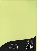 Papier A4 velin 120g Pollen by Clairefontaine 50 feuilles vert bourgeon