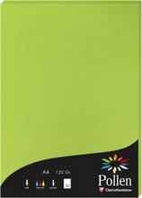 Papier A4 velin 120g Pollen by Clairefontaine 50 feuilles vert menthe