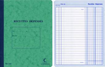 Carnet de Recettes/dépenses 220 x 170 80 pages 